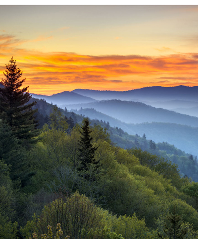 Foresty Hill Top Ocean View