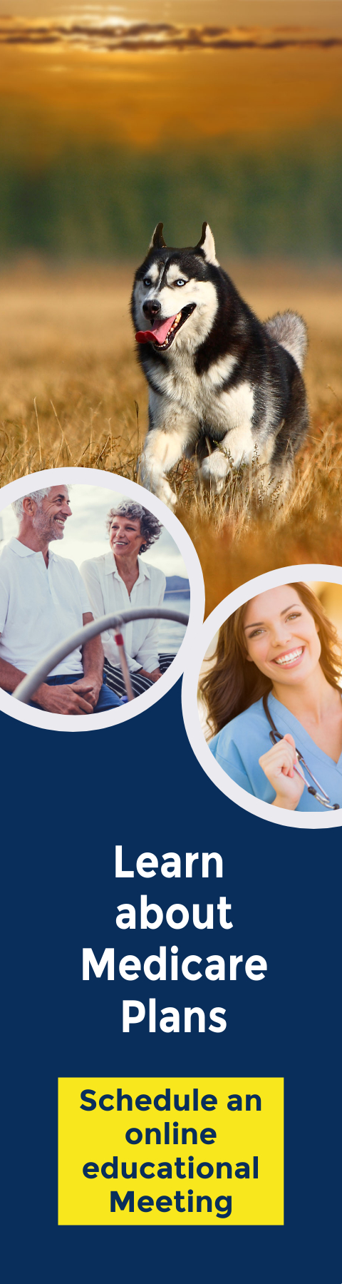 Schedule an Online meeting to learn about medicare by clicking here.