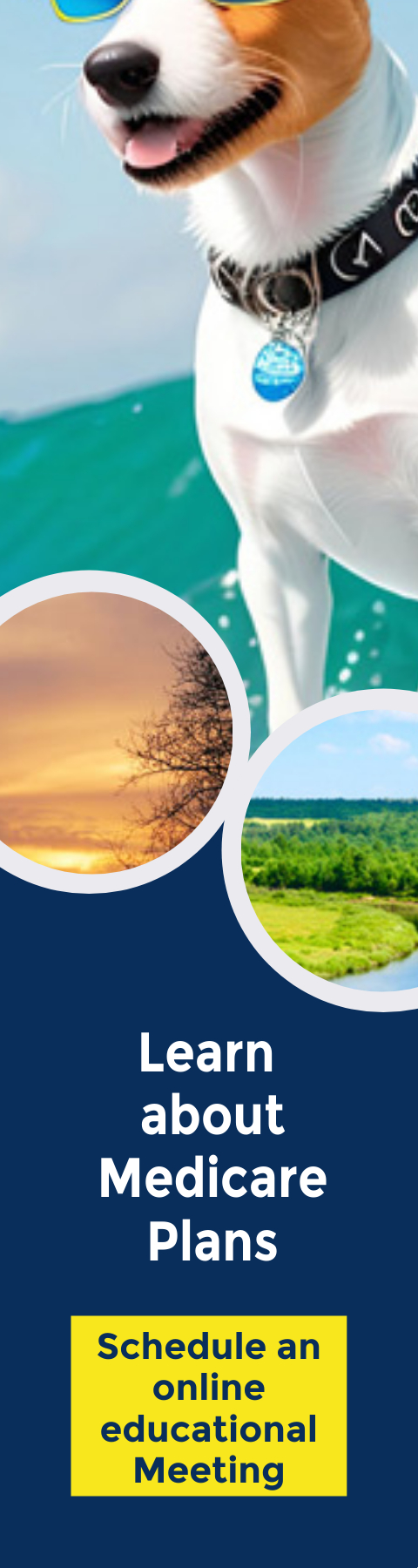 Schedule an Online meeting to learn about medicare by clicking here.