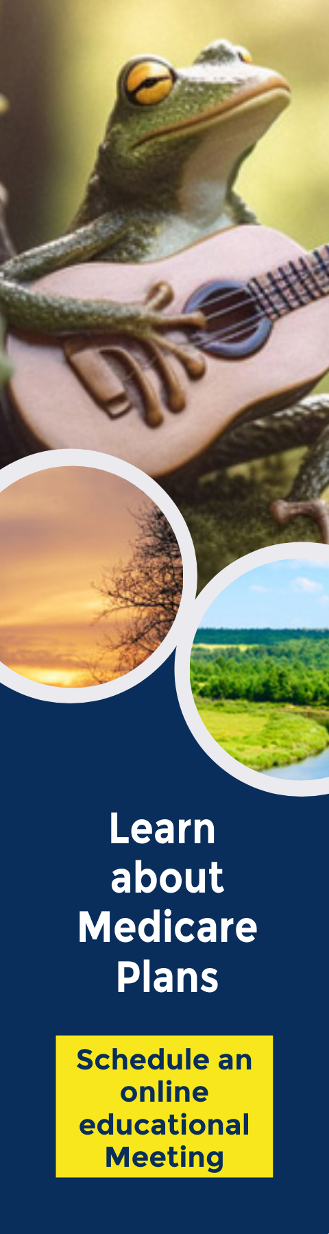 Schedule an Online meeting to learn about medicare by clicking here.